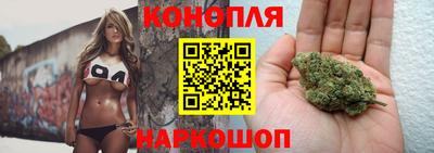 прущие крисы Будённовск