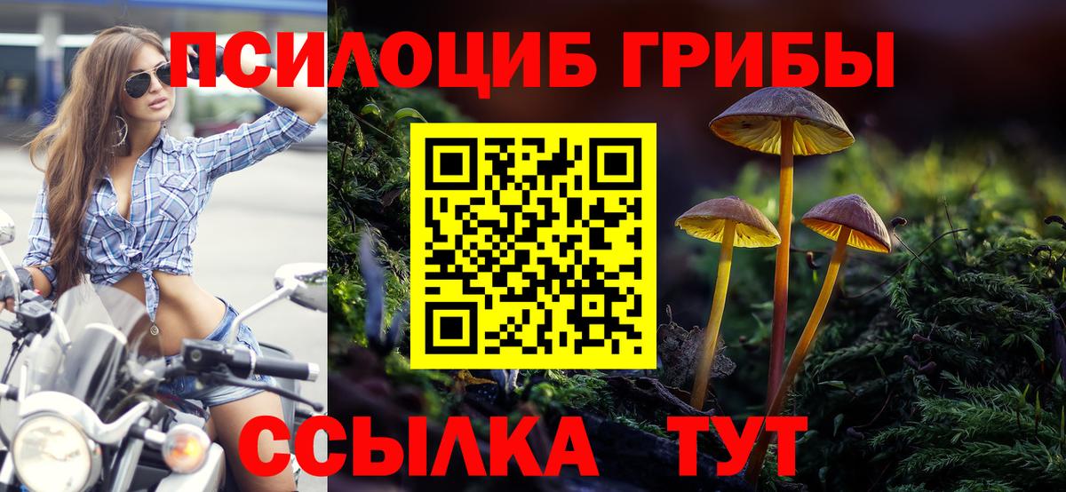 Псилоцибиновые грибы мухоморы  Вход с VPN  Ступино 