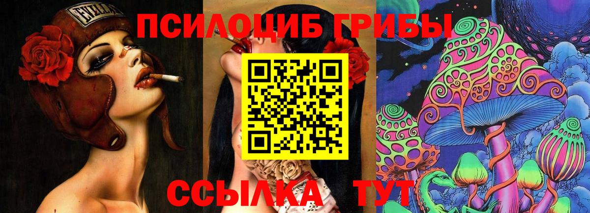 Псилоцибиновые грибы Cubensis Ступино